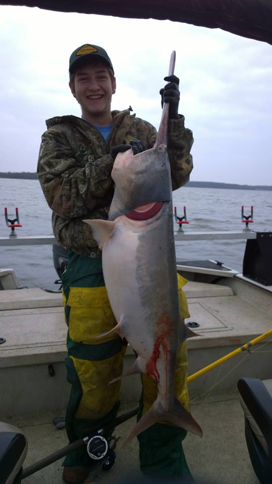 Fort Gibson Spoonbill