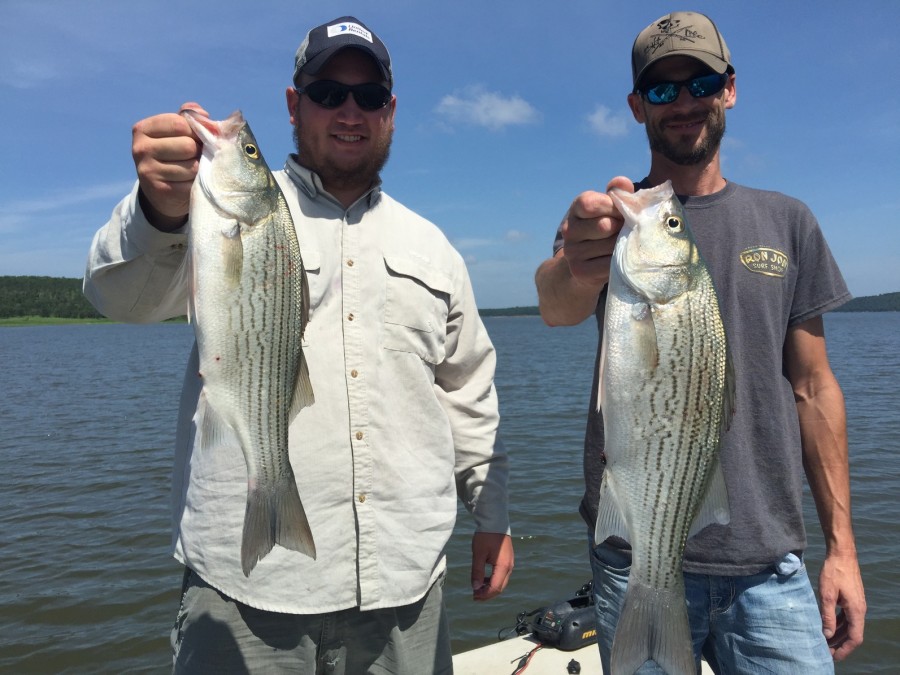 Skiatook Lake Oklahoma Hybrid Striper Lance's Fishing Guide Service (918) 6077357