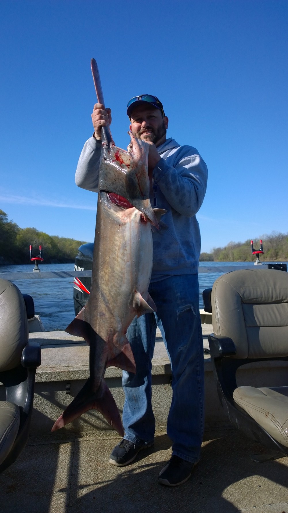 Spoonbill Paddlefish at Fort Gibson Lake in Oklahoma Lance's Fishing