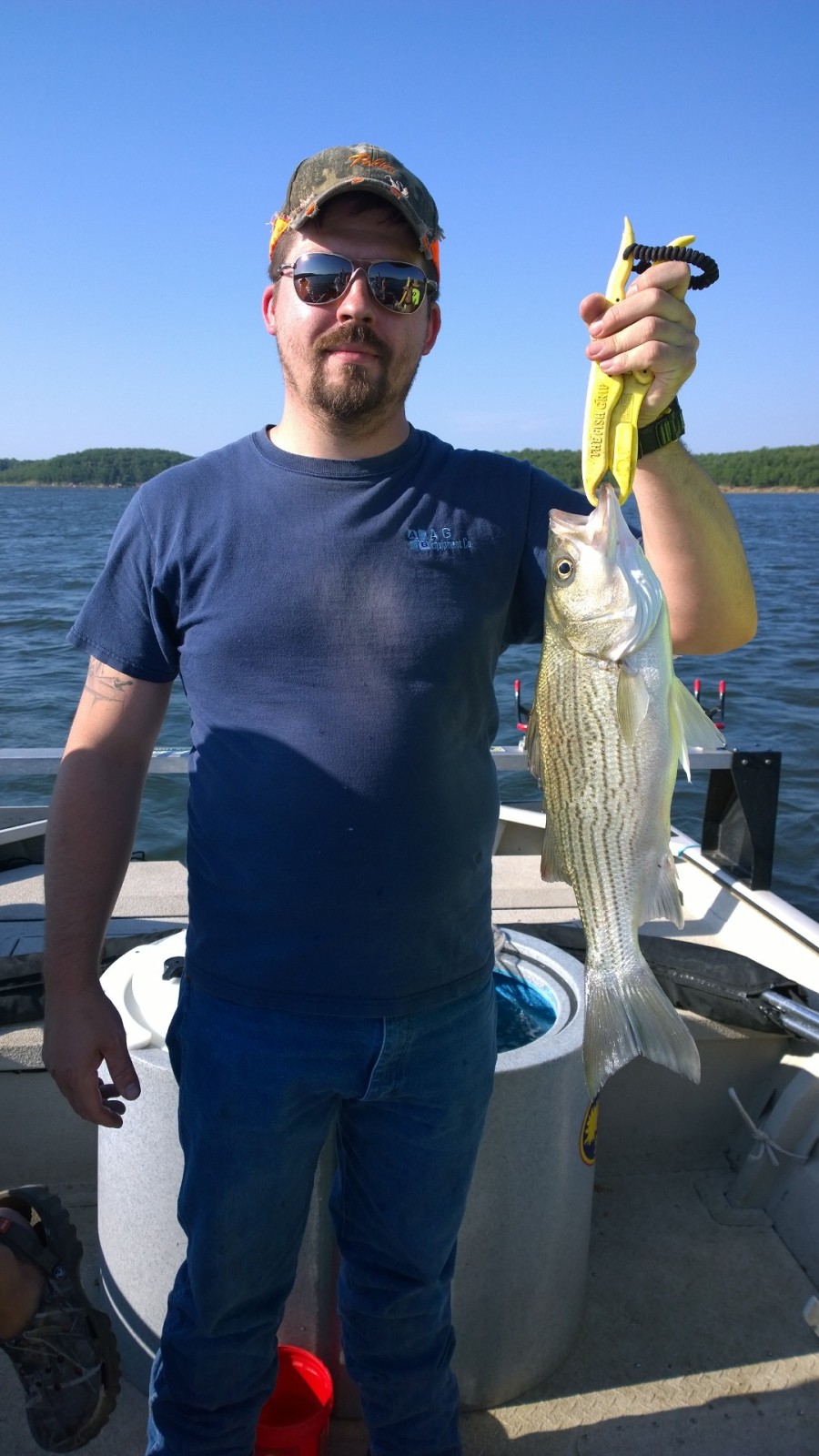Skiatook Lake Oklahoma Hybrid Striper Lance's Fishing Guide Service