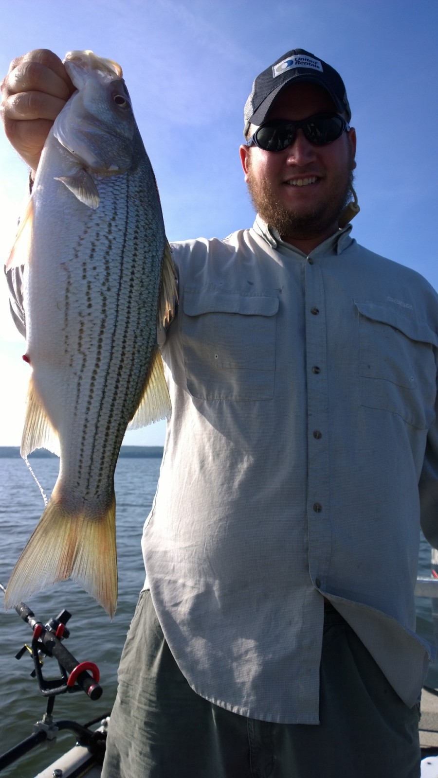 Skiatook Lake Oklahoma Hybrid Striper Lance's Fishing Guide Service