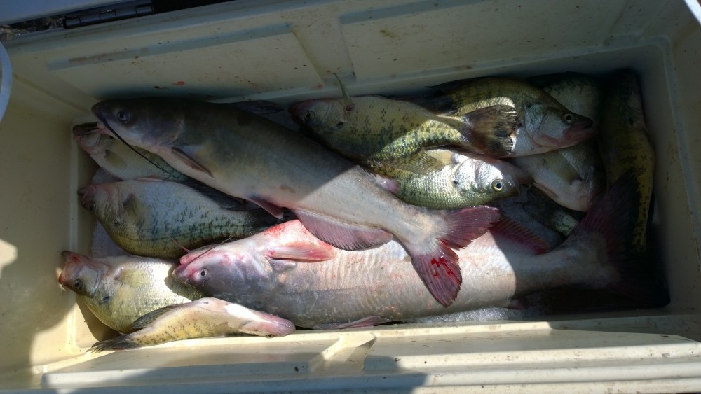 Crappie and Blue Catfish on Kaw Lake in Oklahoma Lance's Fishing