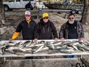 Grand Lake White Bass Hybrid Stripers