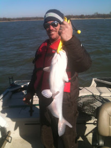 Blue Catfish Oologah Lake Oklahoma