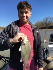 White Bass Fort Gibson