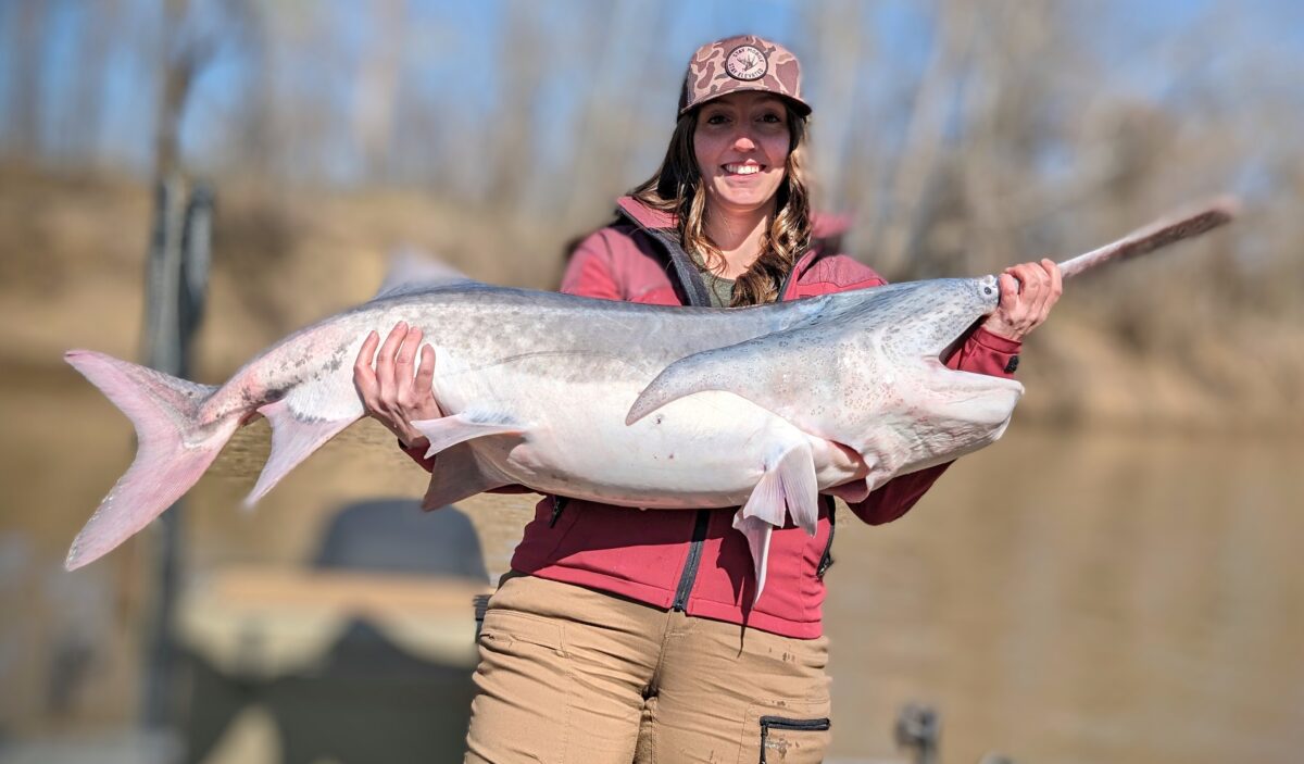 paddlefish spoonbill Oklahoma