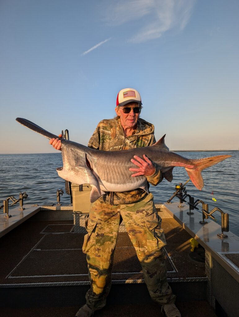 spoonbill paddlefish kaw lake